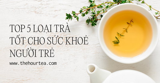 👉 Top 5 Loại Trà Tốt Cho Sức Khỏe Người Trẻ