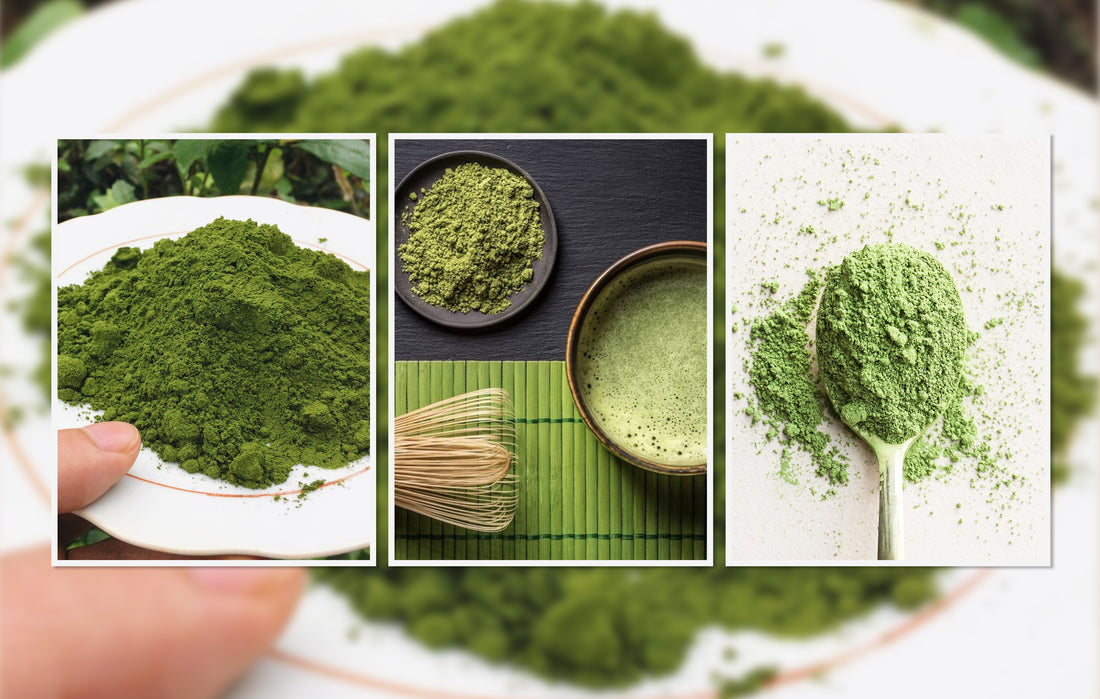 Matcha và trà xanh có gì khác nhau? Công dụng, cách dùng từng loại