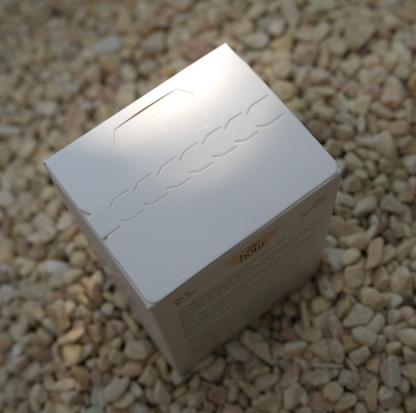 Trà Lài Shan Tuyết túi lọc 20x2g (Jasmine Ancient Snow Shan Tea Bags)